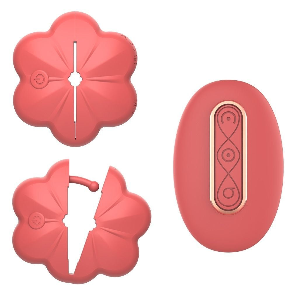 Nipple Vibrator, Nipple Clamps