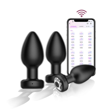 Butt Plug Training Kit with Remote Control, Vibrating Anal Plug and Prostate Massager